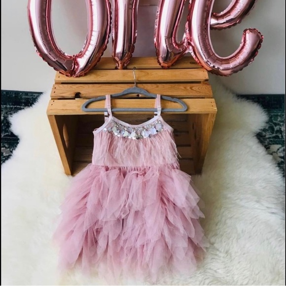 Feathered Tulle Dress 2T - Picture 1 of 1